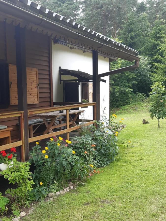 Villa Lesna Polana Górzno Exterior foto