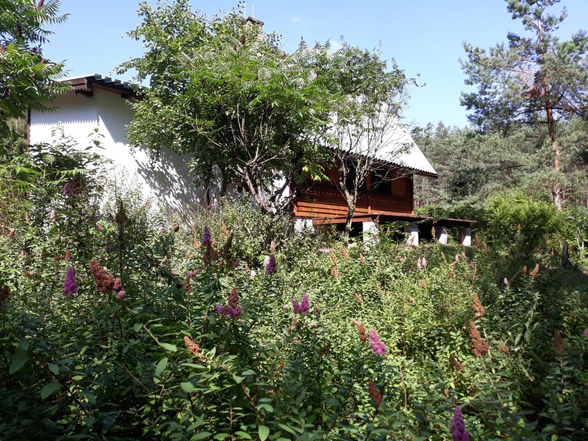 Villa Lesna Polana Górzno Exterior foto